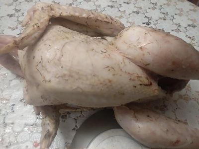 Лот: 16281156. Фото: 1. Мясо индейки. Домашнее!!!! Молоденькие... Мясо, птица, яйцо