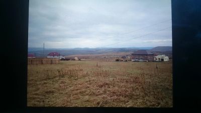 Лот: 4509074. Фото: 1. Солонцы ДНТ Геоцинт. Земельные участки
