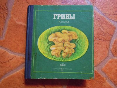 Лот: 9973218. Фото: 1. ГРИБЫ. Каталог.Переплет твердый... Книги