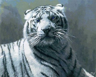 Лот: 8176458. Фото: 1. картины по номерам . "Тигр" размер... Картины по номерам