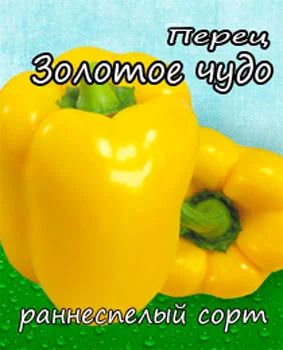 Лот: 7148286. Фото: 1. Рассада перцев "Золотое чудо". Другое (семена, рассада, садовые растения)