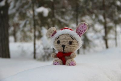 Лот: 6525551. Фото: 1. Зайка амигуруми (игрушки крючком... Авторские куклы, игрушки, поделки