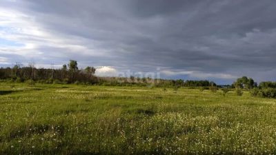 Лот: 25290221. Фото: 1. участок , деревня Терентьево деревня... Земельные участки