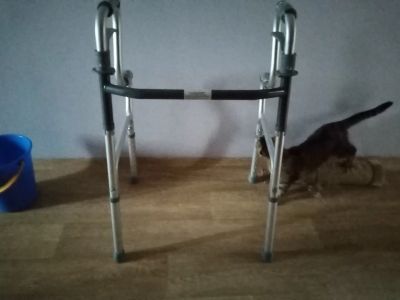 Лот: 15221405. Фото: 1. Ходунки. Реабилитация, уход за больными