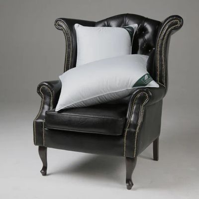 Лот: 22330743. Фото: 1. Подушки ANNA FLAUM. Одеяла, подушки