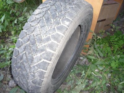 Лот: 6130769. Фото: 1. шина зимняя toyo. Шины
