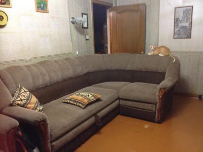 Лот: 4753323. Фото: 1. Диван и кресло. Диваны
