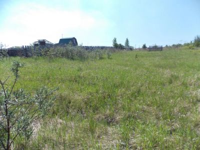 Лот: 9807150. Фото: 1. Участок 10 сот. (СНТ, ДНП). Земельные участки