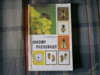 Лот: 923012. Фото: 1. Шабаршов. Юному пчеловоду. Другое (литература, книги)