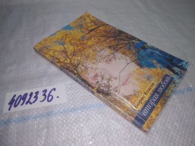 Лот: 25386652. Фото: 1. вб/oz(4092336)Власов Борис. Вторая... Художественная