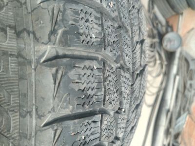 Лот: 15902071. Фото: 1. Калёса. Шины