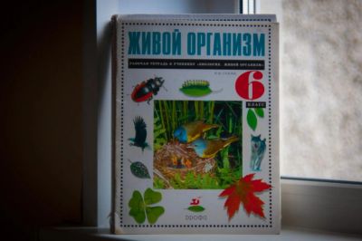 Лот: 3089816. Фото: 1. Рабочая тетрадь к учебнику по... Для школы