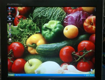 Лот: 3867474. Фото: 1. Монитор LG Flatron L1720P. ЖК-мониторы
