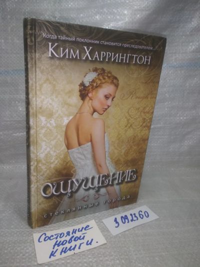 Лот: 25769159. Фото: 1. ок...(3092360) серия Стеклянные... Художественная