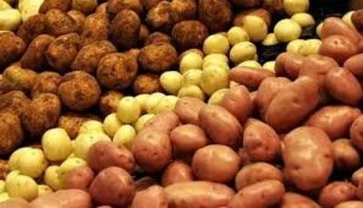 Картофель дачный — купить в Красноярске. Картофель на интернет-аукционе Au.ru