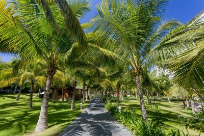 Лот: 10683535. Фото: 1. Вьетнам - Dessole Beach Resort... Туры, путёвки, билеты