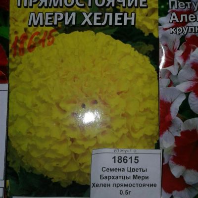 Лот: 9115536. Фото: 1. Семена / Цветы / Бархатцы / Мери... Садовые цветы