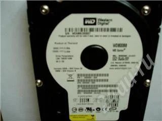 Лот: 34166. Фото: 1. Винчестер HDD WD800BB. Красноярск