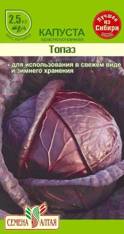 Лот: 11017101. Фото: 1. Семена капусты краснокочанной... Овощи
