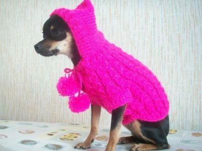 Лот: 1302704. Фото: 1. кофточка с капюшоном!. Ошейники, одежда, конное снаряжение