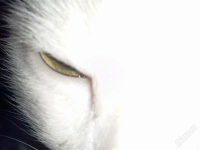 Лот: 1460456. Фото: 1. Две активные сим-карты в телефоне... Кнопочные мобильные телефоны
