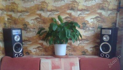 Лот: 1315015. Фото: 1. Колонки Defender. Красноярск