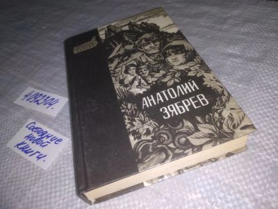 Лот: 6917987. Фото: 1. oz меш. (4092304) Зябрев А.Е... Художественная