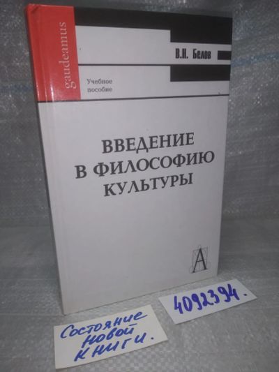 Лот: 25851317. Фото: 1. вбЮ/ozЮ(4092394)Белов В. Н. Введение... Философия