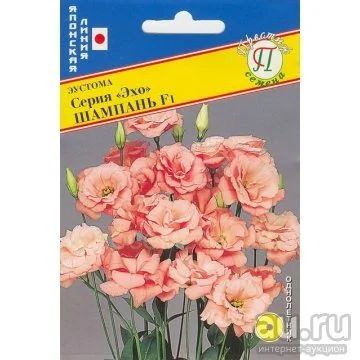 Лот: 9380092. Фото: 1. Эустома Эхо Шампань махровая. Садовые цветы