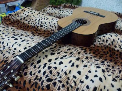 Лот: 1399205. Фото: 1. Гитара Hohner HC-06. Гитары