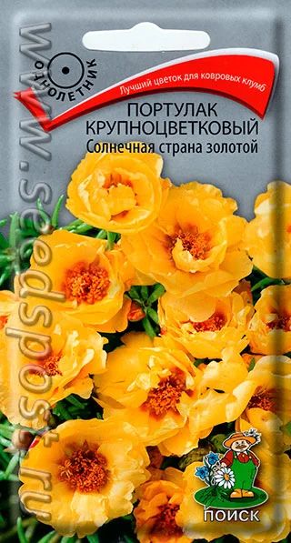 Лот: 7881309. Фото: 1. Портулак крупноцветковый Солнечная... Садовые цветы