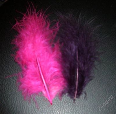 Лот: 1258209. Фото: 1. Симпатичные пёрышки). Другое (сувениры, подарки)