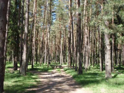 Лот: 5111136. Фото: 1. Участок 3га под базу отдыха. Земельные участки