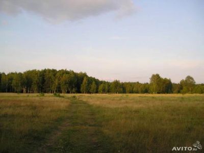 Лот: 4144846. Фото: 1. 10.8га. с. Плоское. Земельные участки