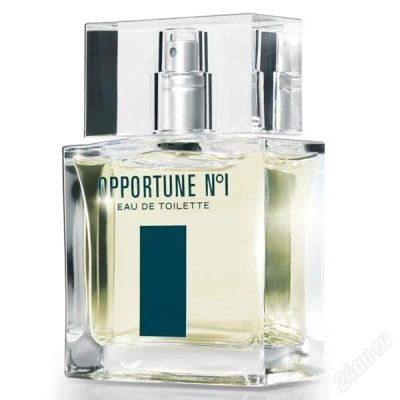 Лот: 1775506. Фото: 1. AMWAY OPPORTUNE™ №1 Туалетная... Мужская парфюмерия
