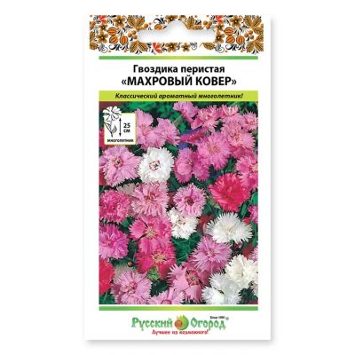Лот: 24957389. Фото: 1. Семена Цветы, Гвоздика, Махровый... Другое (семена, рассада, садовые растения)