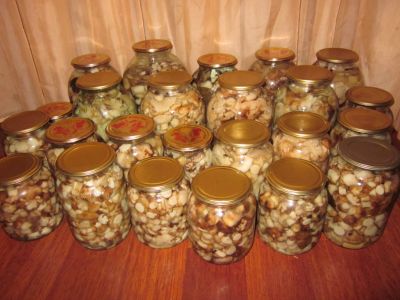 Лот: 8621746. Фото: 1. Мелкие вкусные, хрустящие грибочки... Грибы