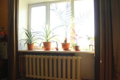 Лот: 9902223. Фото: 1. Квартира 36,2 м.кв. рядом с новым... Квартиры, студии