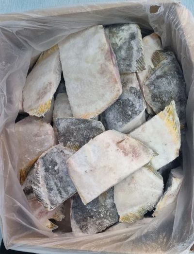 Лот: 20732205. Фото: 1. Камбала кусок с/м.Доставка. Икра, рыба, морепродукты