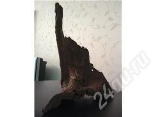 Лот: 440744. Фото: 1. Мангровая большая коряга. Другое (аквариумистика)