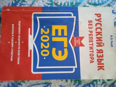 Лот: 18956319. Фото: 1. ЕГЭ 2020 русский язык без репетитора. Для школы