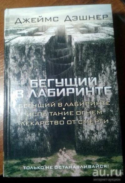 Лот: 10347801. Фото: 1. бегущий в лабиринте. Художественная