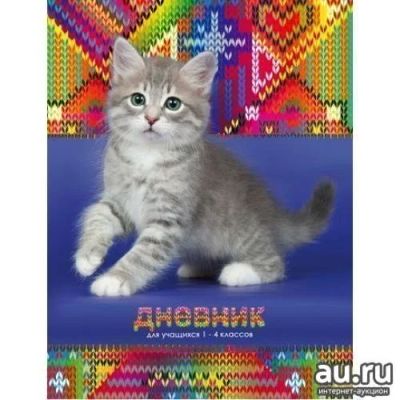 Лот: 12037765. Фото: 1. Дневник для младших классов на... Тетради, альбомы