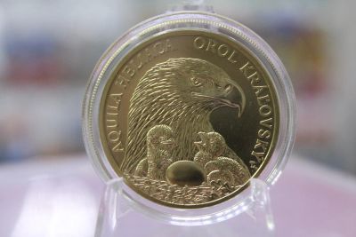 Лот: 25433379. Фото: 1. Словакия 5 евро 2025 года Восточный... Европа