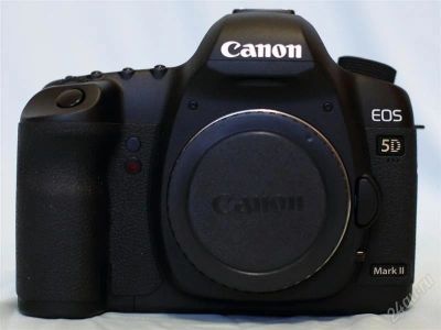 Лот: 2673461. Фото: 1. CANON EOS 5D Mark-II (body), почти... Цифровые зеркальные