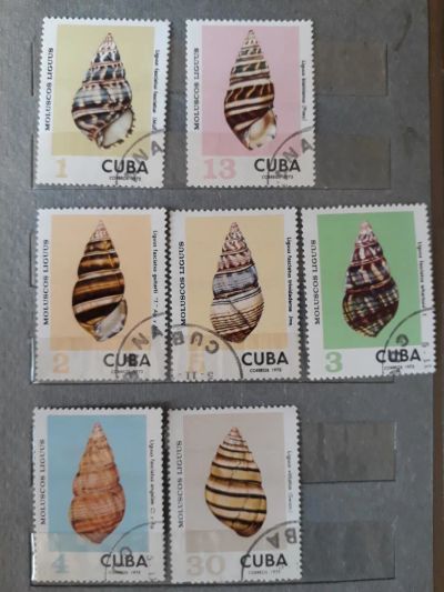 Лот: 11512310. Фото: 1. Марки "Ракушки". Марки