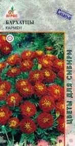 Лот: 11024228. Фото: 1. Бархатцы Кармен откл. 0,3г. Садовые цветы