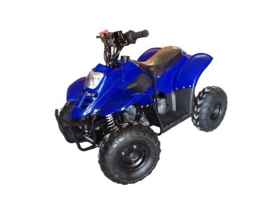 Лот: 25362426. Фото: 1. Квадроцикл RAPTOR 110. Снегоходы, квадроциклы