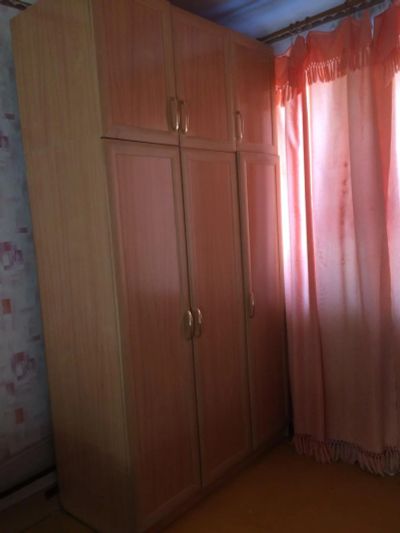 Лот: 8825087. Фото: 1. Шкаф. Шкафы, шкафы-купе