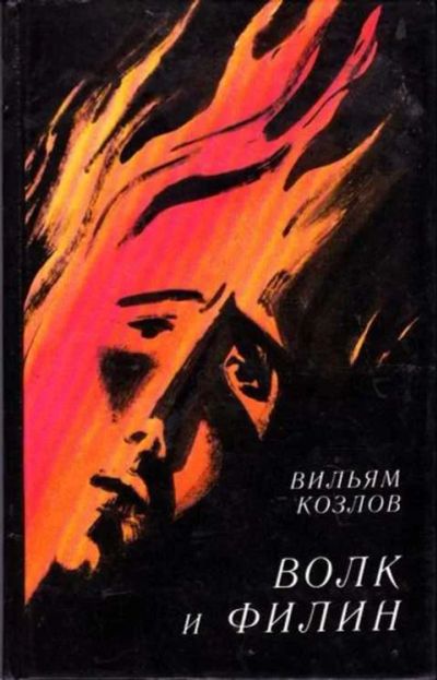 Лот: 12256078. Фото: 1. Волк и филин Повесть. Рис. М... Художественная для детей